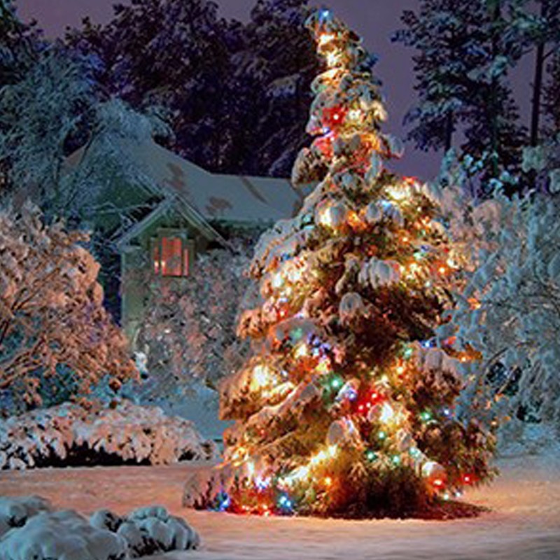 Outdoor String Light